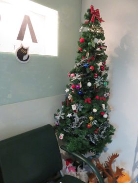 「告別寂寞聖誕」派對_2