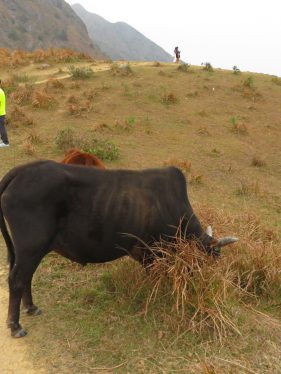 「山水有情」遠足同樂日_1