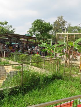 「甜蜜與野火」秋日燒烤會_4